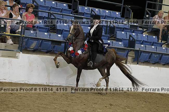 Proof 11r14_4110