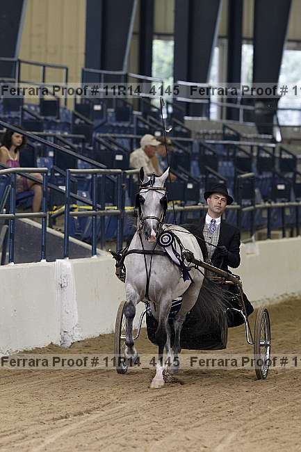Proof 11r14_4145