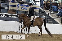 11r14_4161 proof