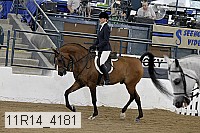 11r14_4181 proof