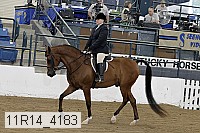 11r14_4183 proof