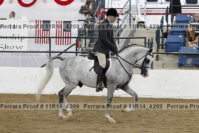 Proof 11r14_4209