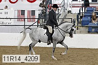 11r14_4209 proof