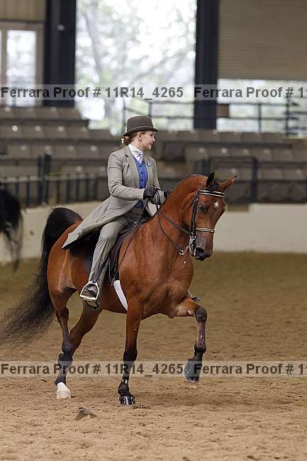 Proof 11r14_4265