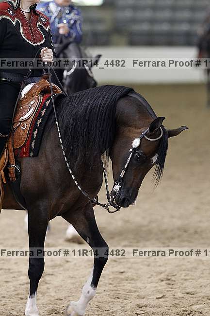 Proof 11r14_4482