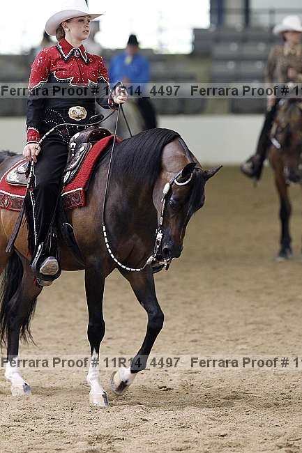 Proof 11r14_4497