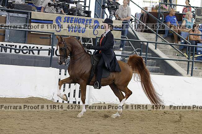 Proof 11r14_4579