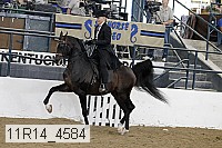 11r14_4584 proof