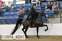 11r14_4591 proof