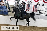 11r14_4601 proof