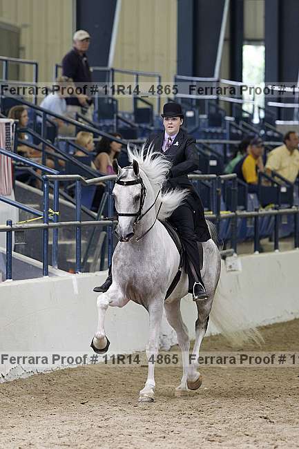 Proof 11r14_4865