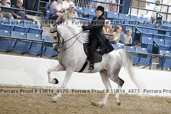 Proof 11r14_4873