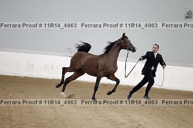 Proof 11r14_4963