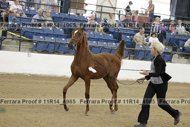 Proof 11r14_4965