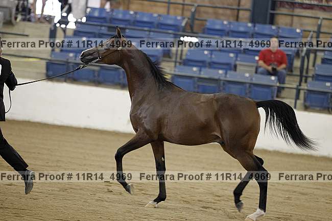 Proof 11r14_4969
