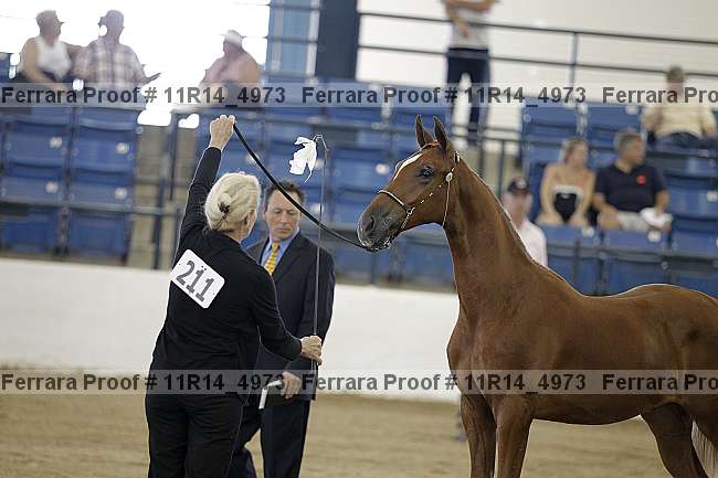 Proof 11r14_4973