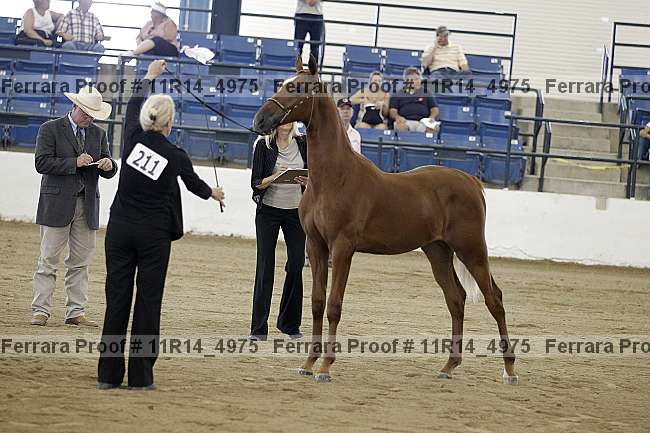 Proof 11r14_4975