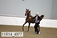 11r14_4977 proof
