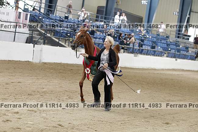 Proof 11r14_4983