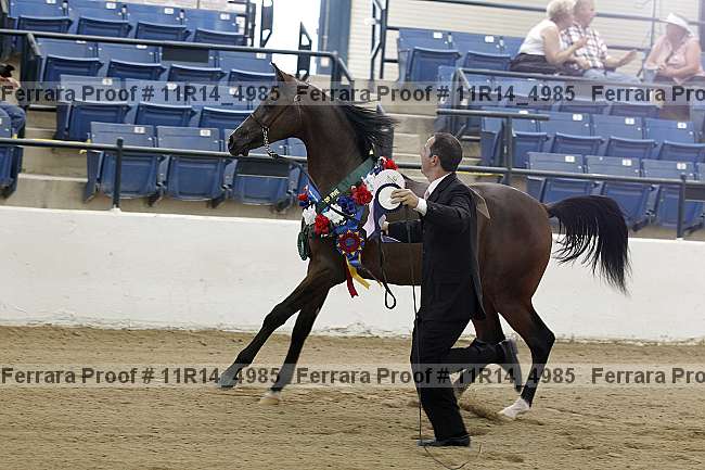 Proof 11r14_4985