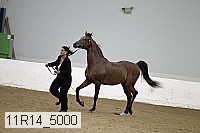 11r14_5000 proof
