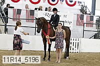 11r14_5196 proof