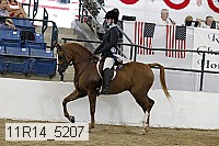 11r14_5207 proof