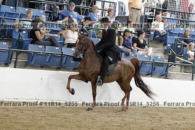 Proof 11r14_5256