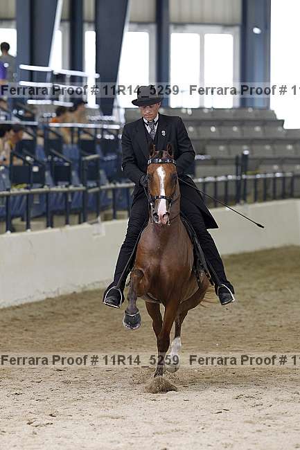 Proof 11r14_5259
