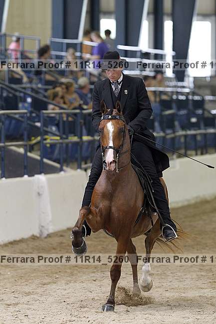 Proof 11r14_5260
