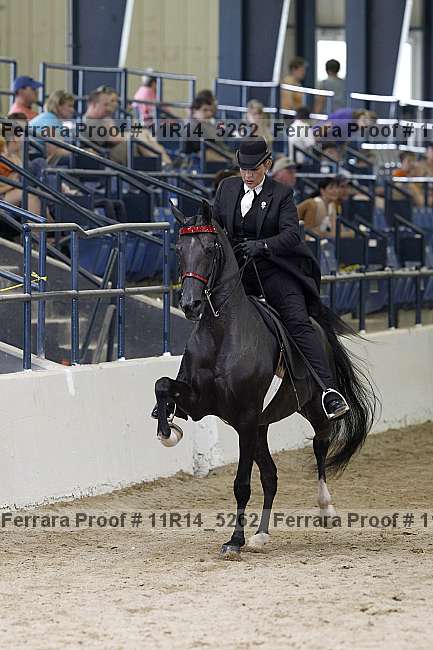 Proof 11r14_5262