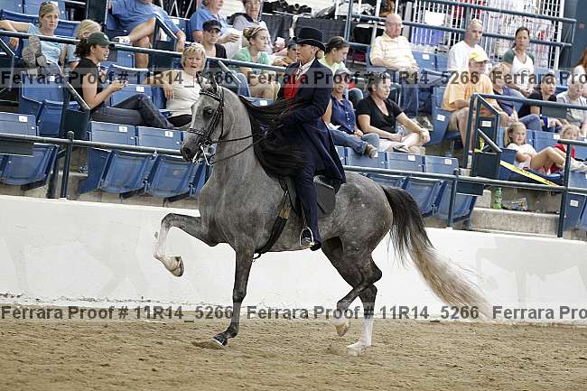 Proof 11r14_5266