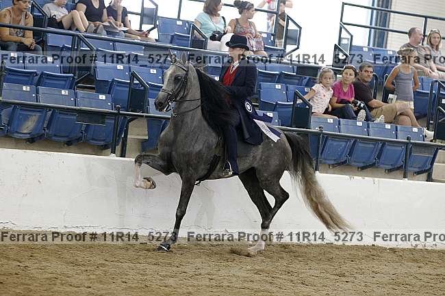 Proof 11r14_5273