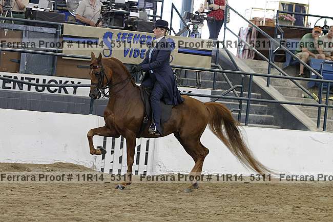 Proof 11r14_5311