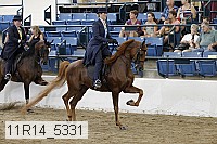 11r14_5331 proof