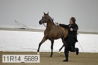 11r14_5689 proof