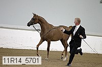 11r14_5701 proof