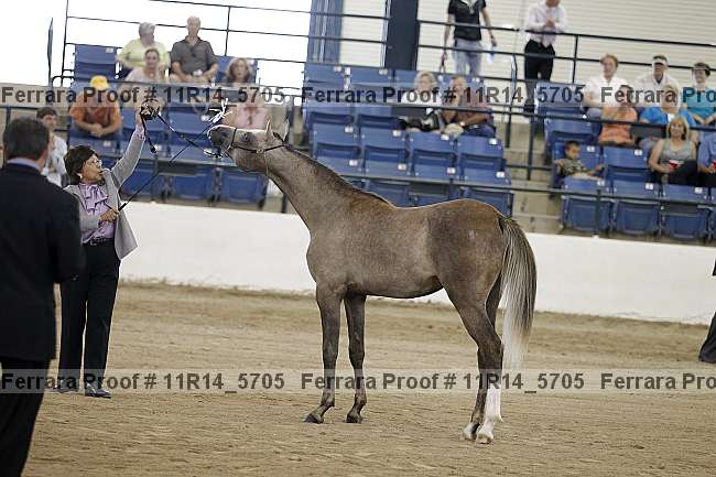 Proof 11r14_5705