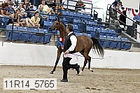 11r14_5765 proof