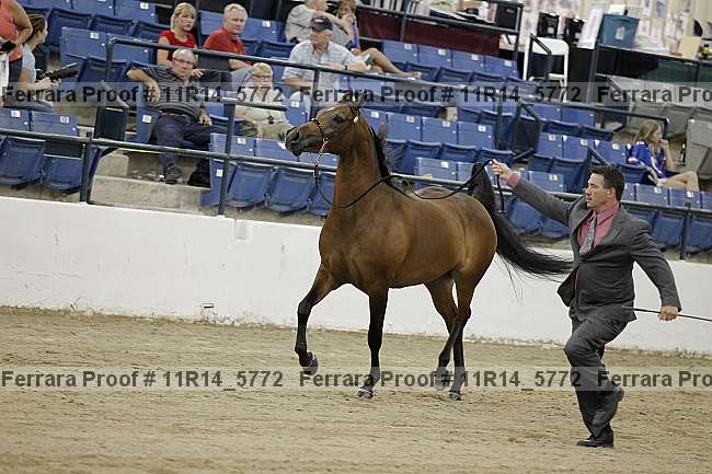 Proof 11r14_5772