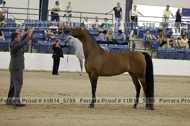 Proof 11r14_5788