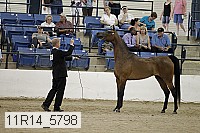 11r14_5798 proof