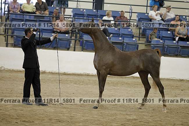 Proof 11r14_5801