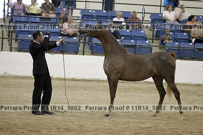 Proof 11r14_5802