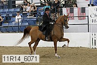 11r14_6071 proof
