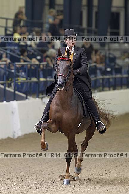 Proof 11r14_6115
