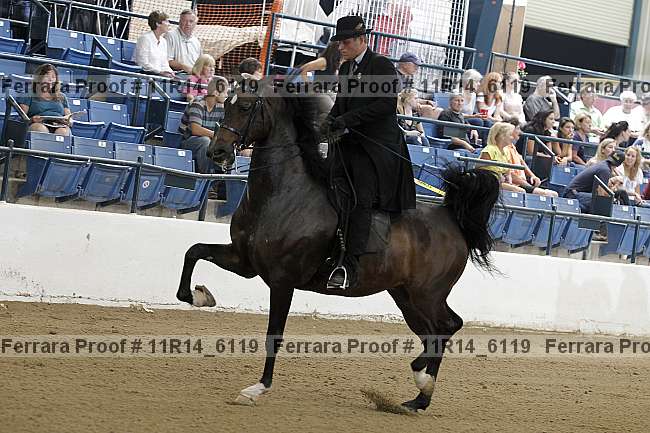 Proof 11r14_6119