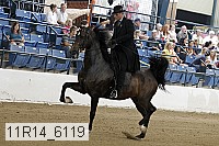 11r14_6119 proof
