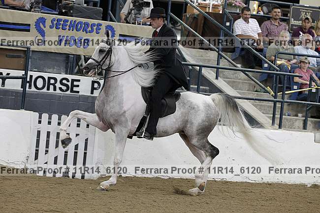 Proof 11r14_6120