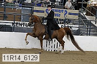 11r14_6129 proof